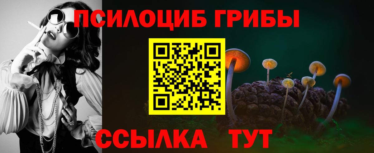 Галлюциногенные грибы Psilocybe Чусовой